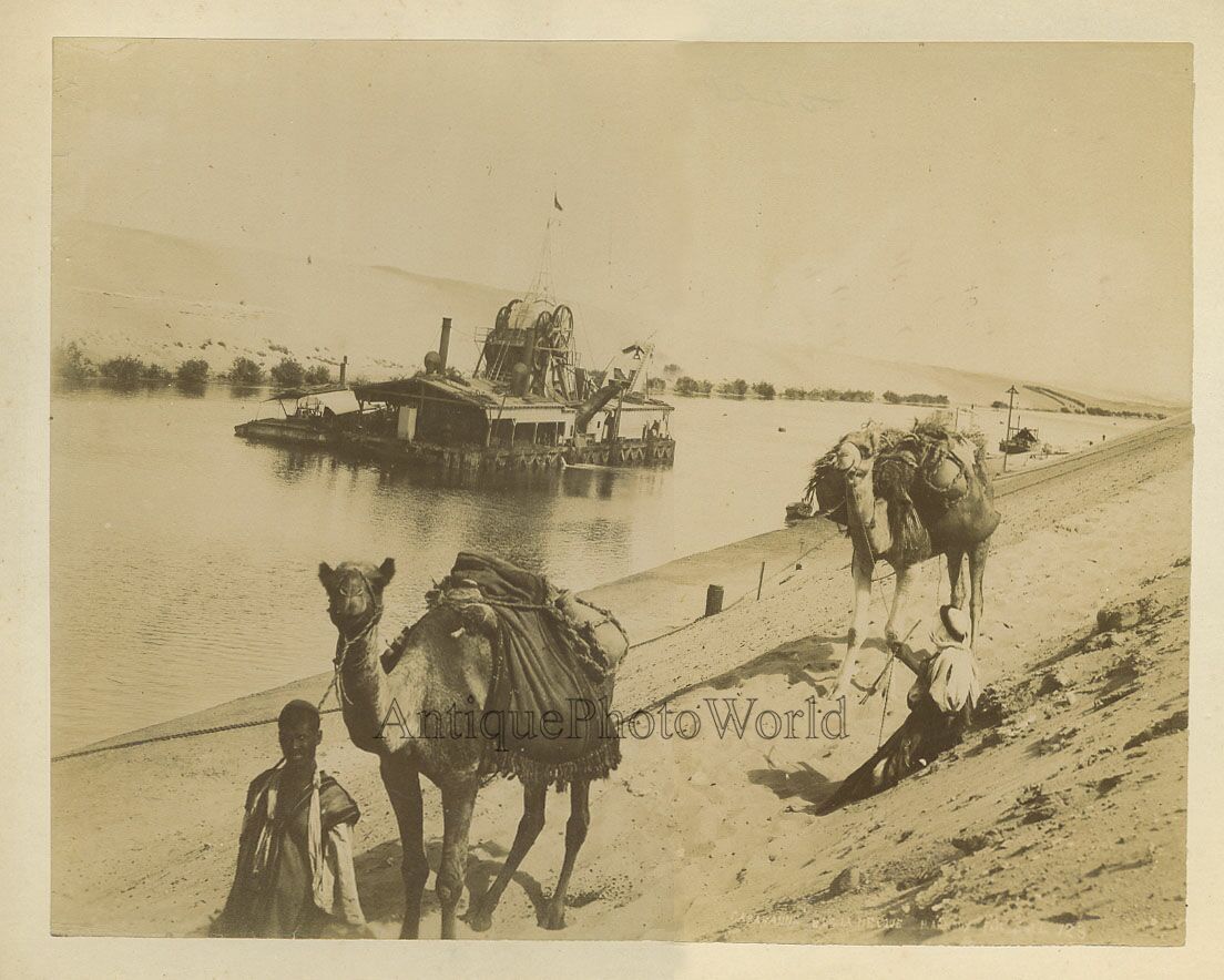 Camel caravan Port Said boat antique photo Arnoux Egypt