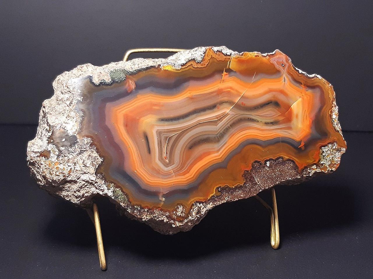 EXCEPTIONAL AGATE CONDOR SPECIMEN FROM ARGENTINA 649 Grams – 1.43 Pounds (C-438)