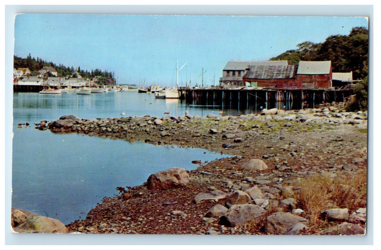 View Of Fish Wharf And Anchorage New Harbor Maine ME Unposted Vintage Postcard
