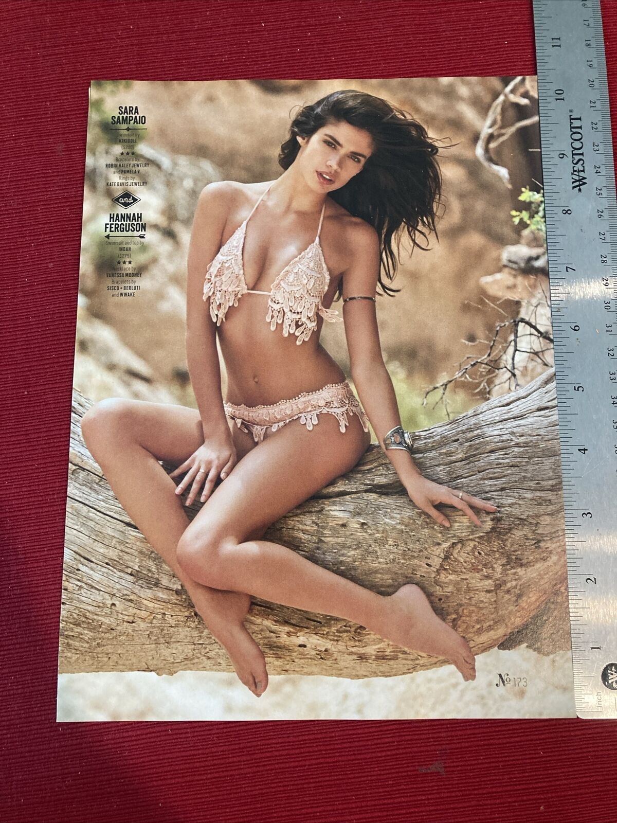 Supermodel Sara Sampaio Sexy Bikini 2015 Print Pinup