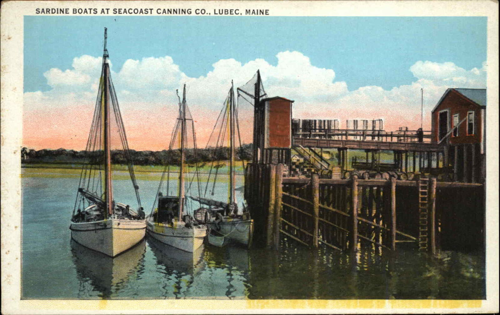 Lubec Maine ME Sardine Boats Seacoast Cannery Co Factory Vintage Postcard