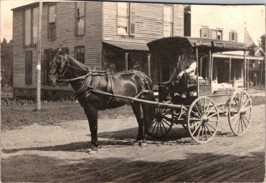Horse, Merchant Delivery Wagon, c1910, Photograph, #2316
