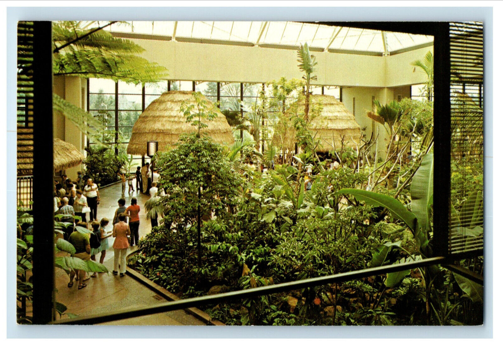 c1960s Tropical Plants at Hershey's Chocolate World, Hershey PA Postcard
