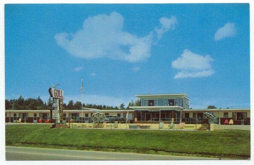 Belfast ME Gull Motel Rt.1 & 3 Postcard Maine