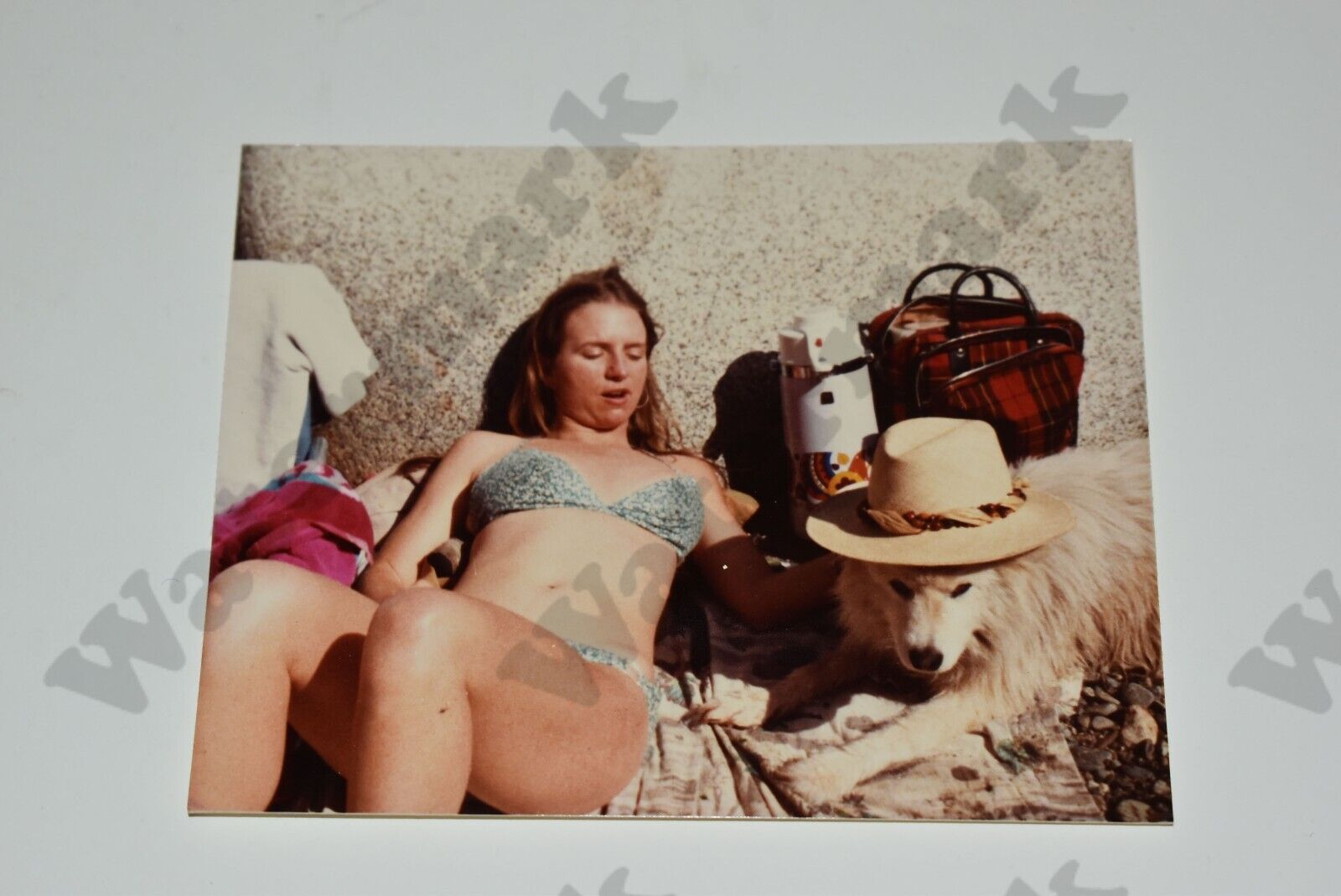 curvy woman in bikini playing with dog candid VINTAGE PHOTOGRAPH  Gt