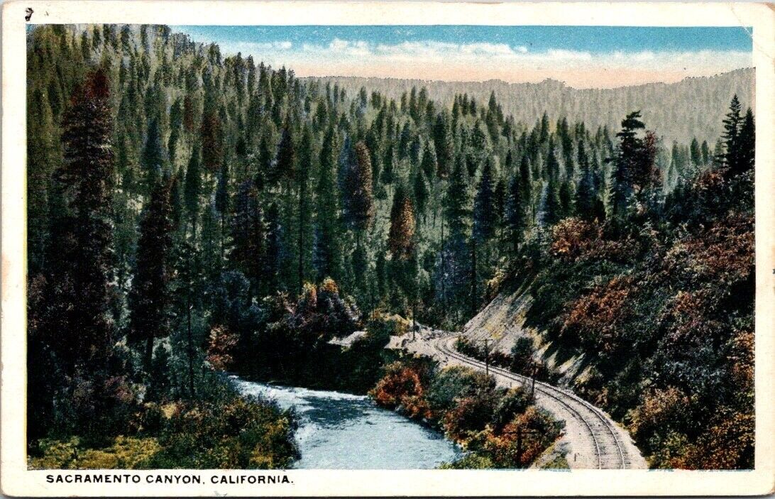1920s Deep Canyon Forest & Rail Line Sacramento California Vintage Postcard