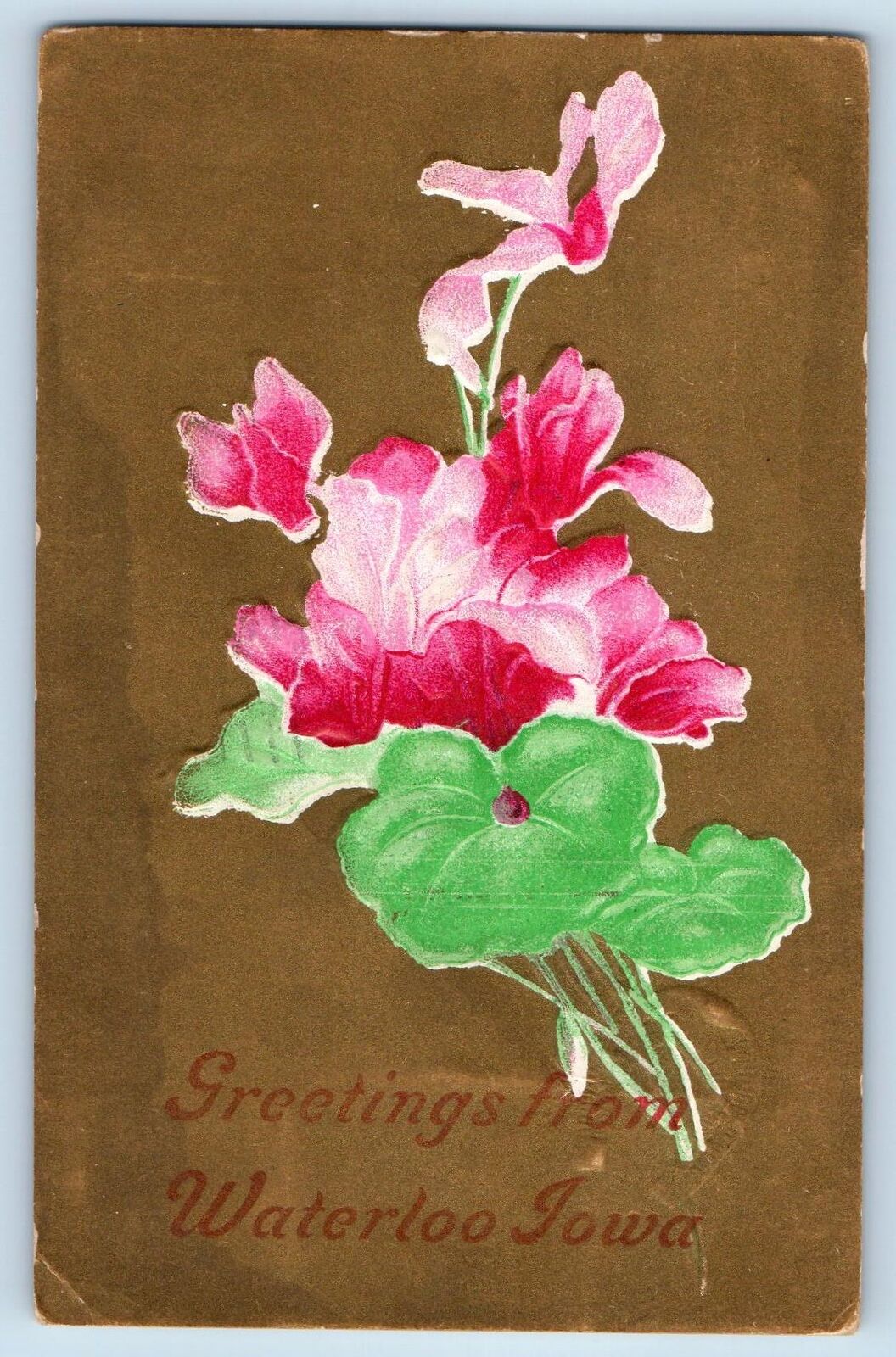 Waterloo Iowa IA Postcard Greetings Embossed Flowers And Leaves 1911 Antique