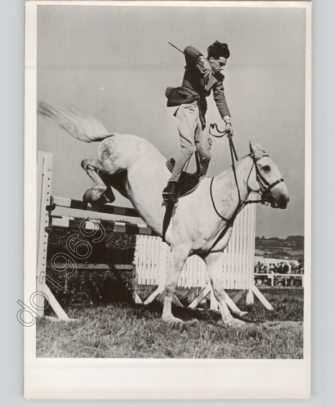 HORSE Performs Jump at EQUESTRIAN Event Germany 1952 Press Photo Sports PIX