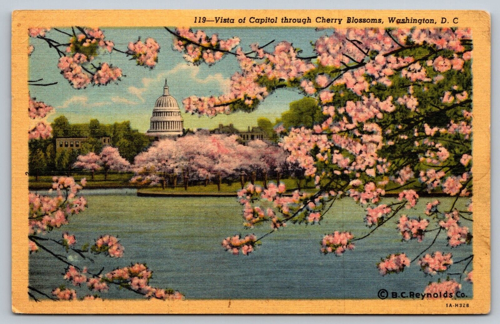 Postcard Vista of Capitol through Cherry Blossoms Washington DC USA