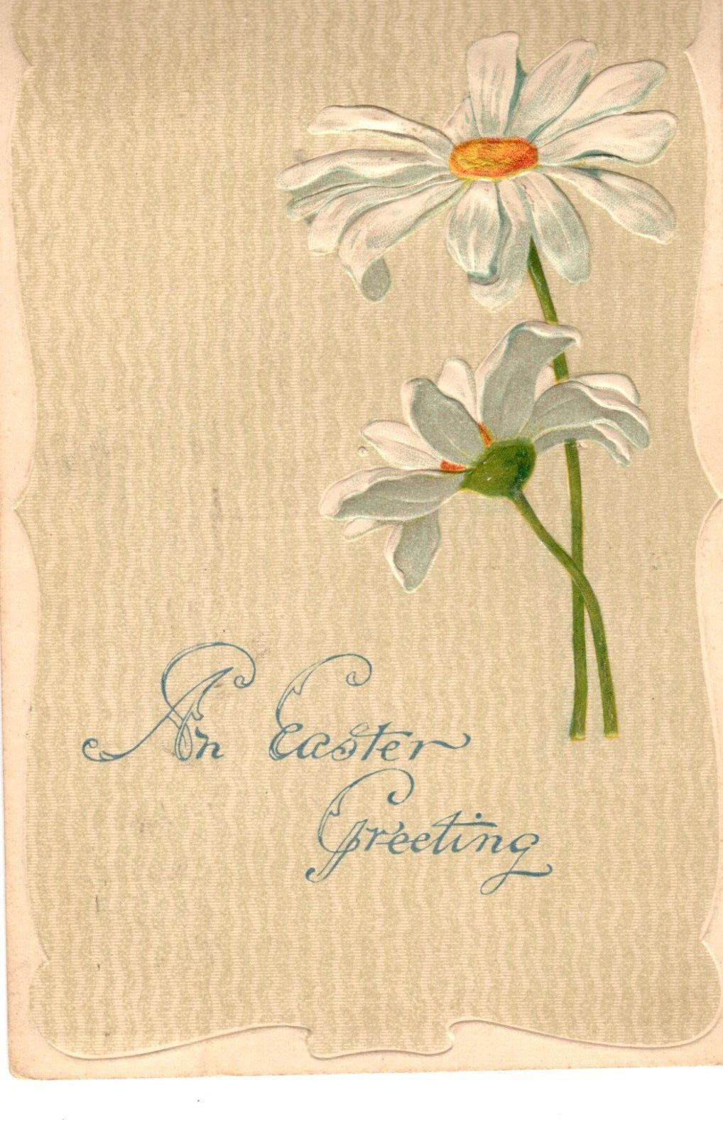 An Easter Greeting, Daisy Flower, Pstmrk 1909 Postcard
