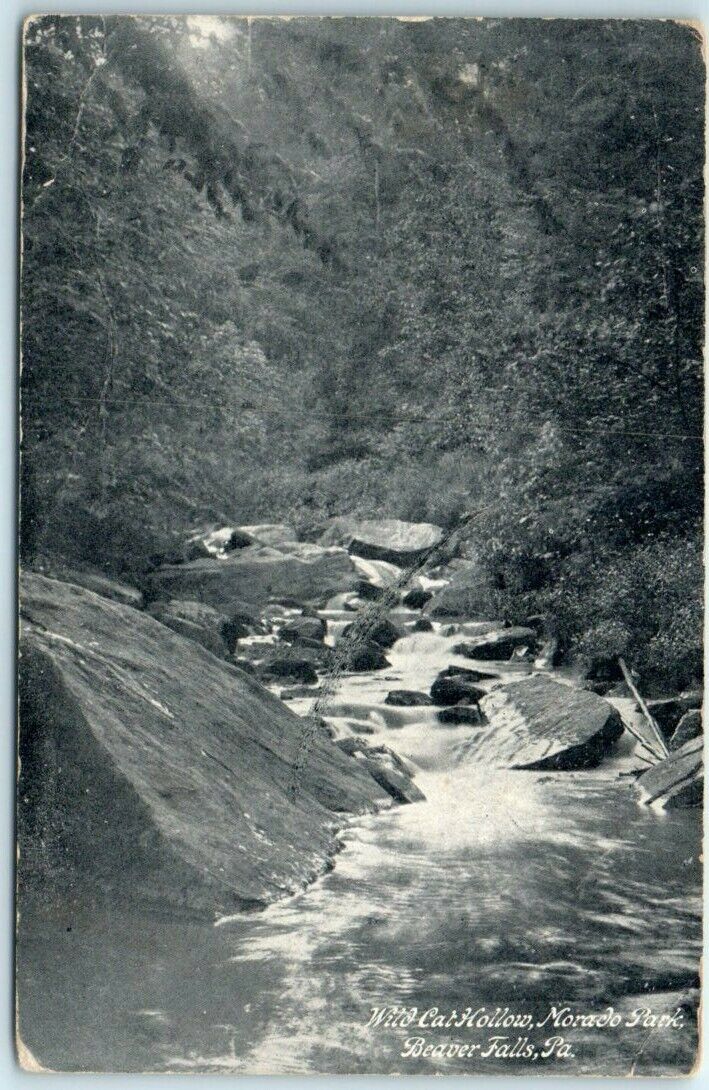 Postcard - Wild Cat Hollow, Morado Park - Beaver Falls, Pennsylvania
