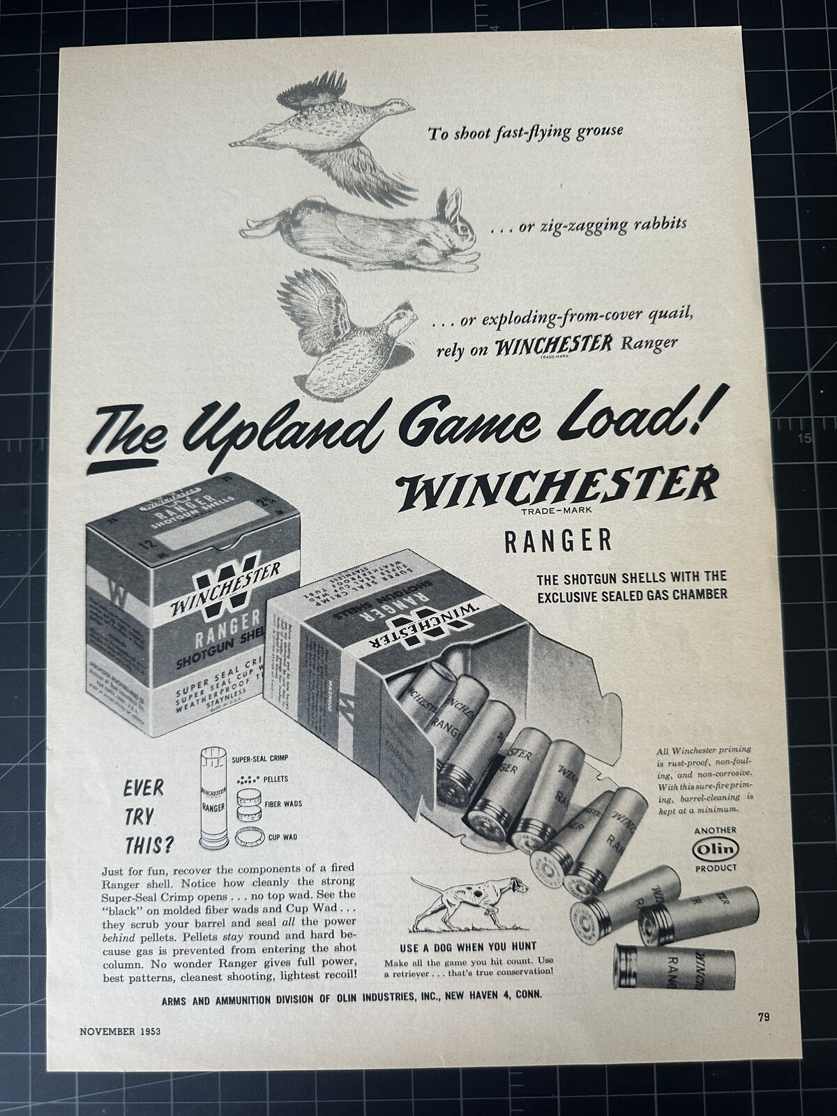 Vintage 1953 Winchester Shells Print Ad
