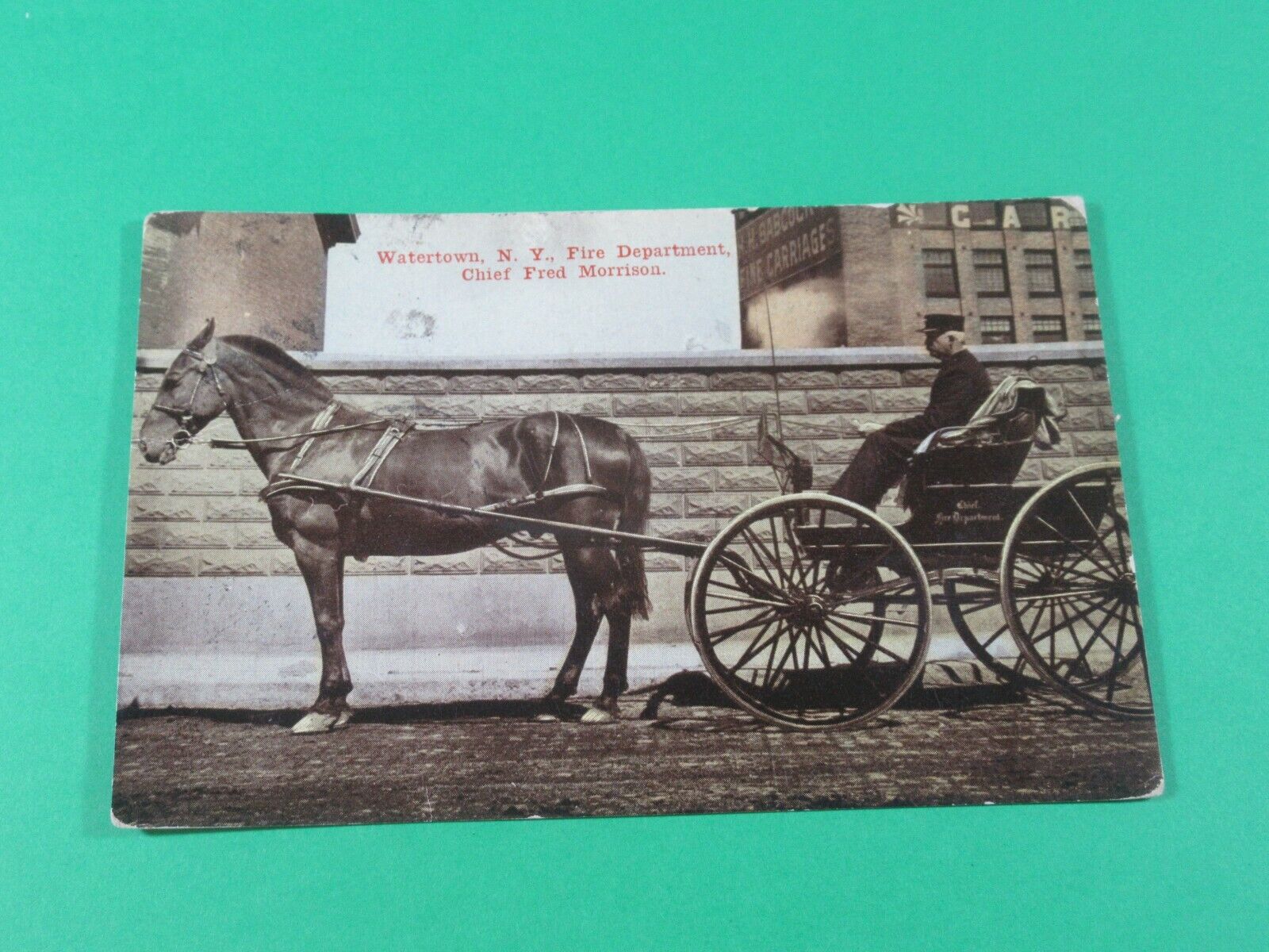 1900\'S WATERTOWN NY FIRE SEPT CHIEF FRED MORRISON PHOTO POSTCARD HORSE CARRIAGE