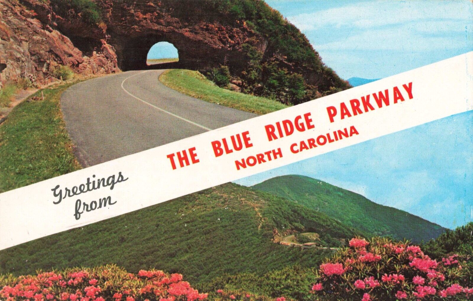 Blue Ridge Parkway North Carolina, Tunnel & Craggy Gardens, Vintage Postcard