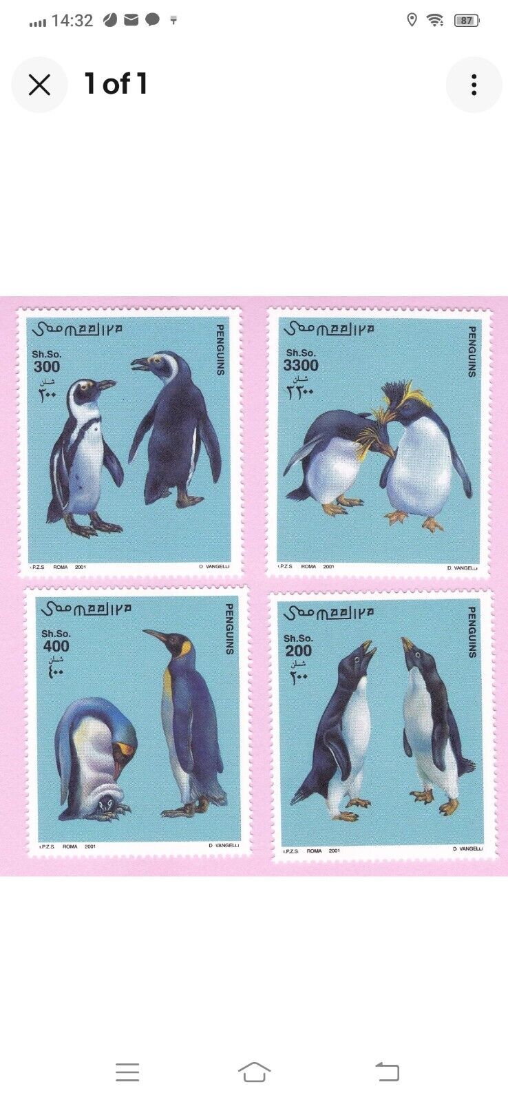 Penguins Bird Wildlife 