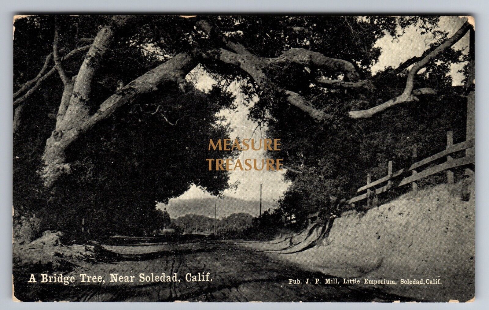 C.1909 SOLEDAD CA BRIDGE TREE LITTLE EMPORIUM MILL MONTEREY Postcard P56