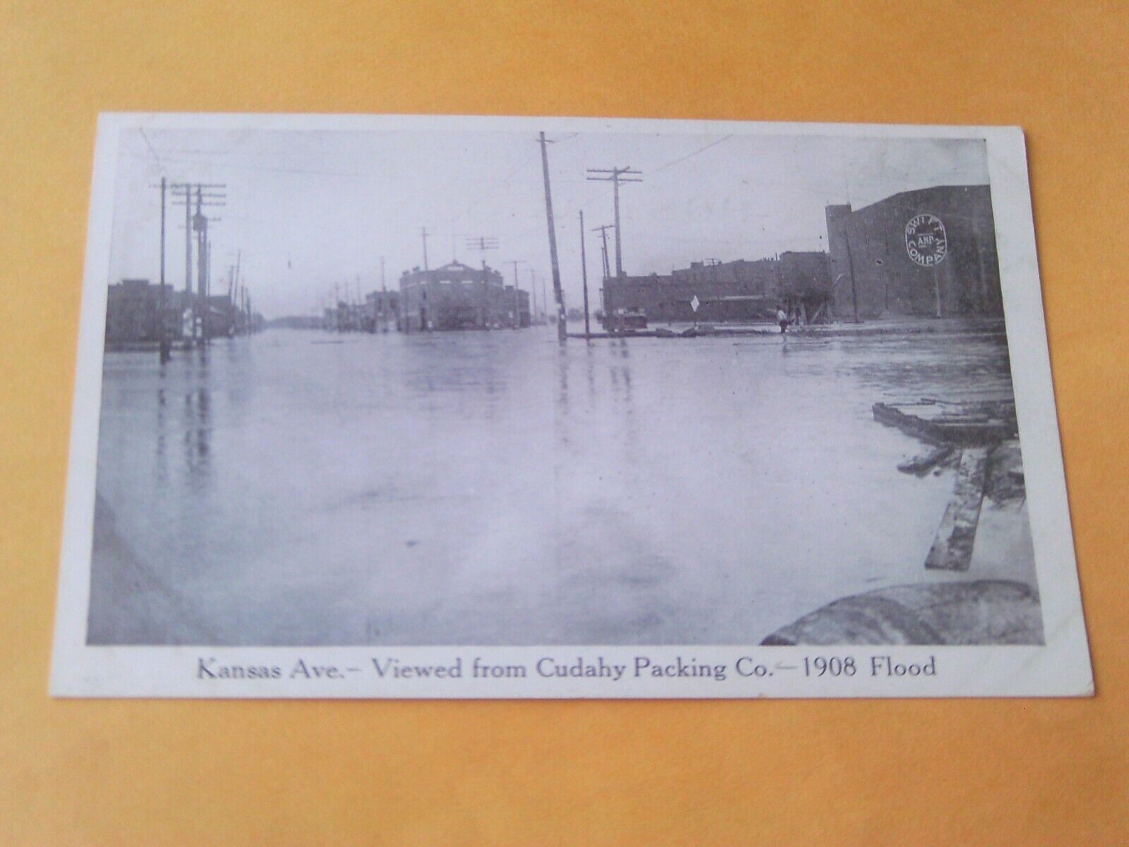 SCARCE 1908 POSTCARD KANSAS CITY MO. FLOOD CATTLE SWIFT CUDAHY PACKING COMPANY