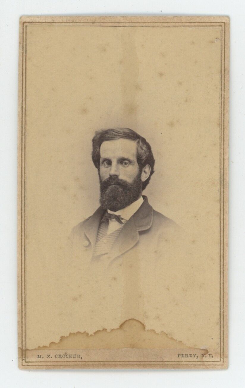 Antique CDV Circa 1860s Handsome Rugged Man With Beard in Suit Crocker Perry, NY
