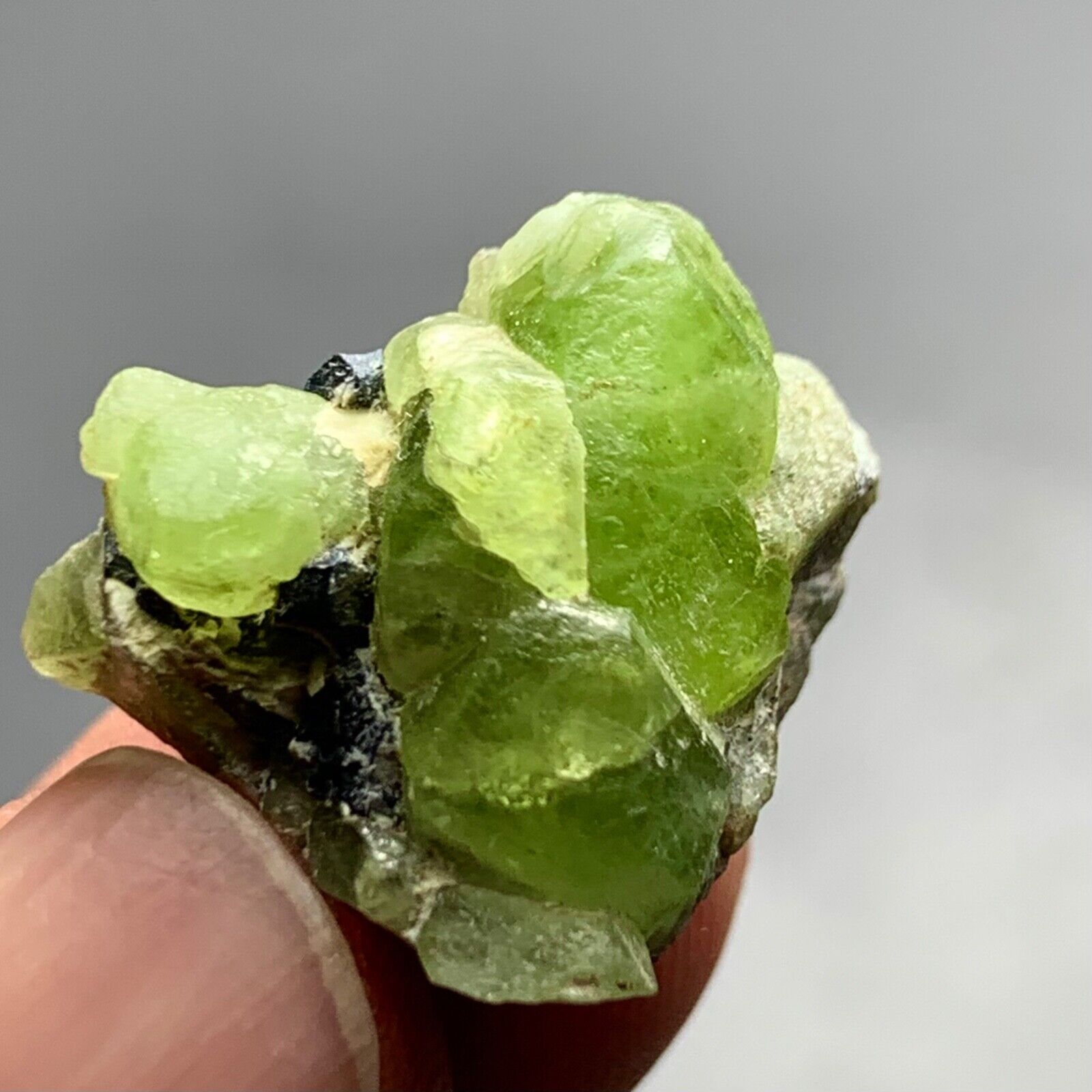 39 Cts Terminated Peridot Crystal Bunch specimen  From SkarduPakistan
