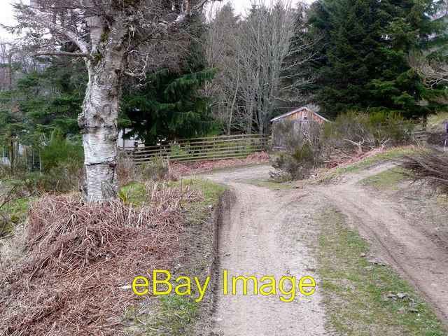 Photo 6x4 The track beyond Farley Crask of Aigas  c2008