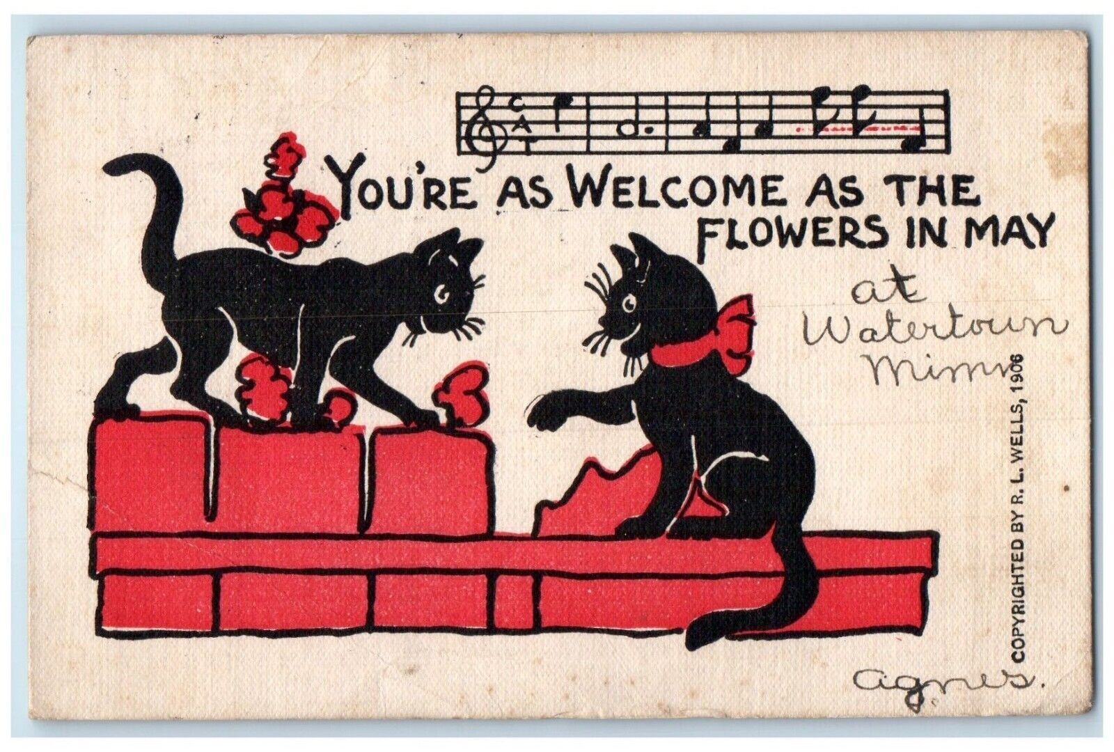 1907 Black Cats Hearts You\'re Welcome As The Flowers Watertown MN Postcard