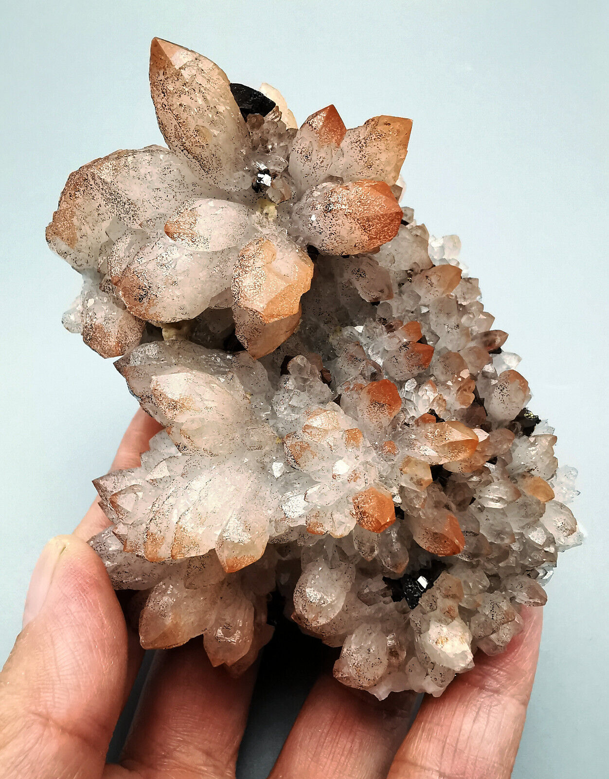 269g Rare Natural Red Quartz Crystal & Pyrite  Mineral Specimen/China