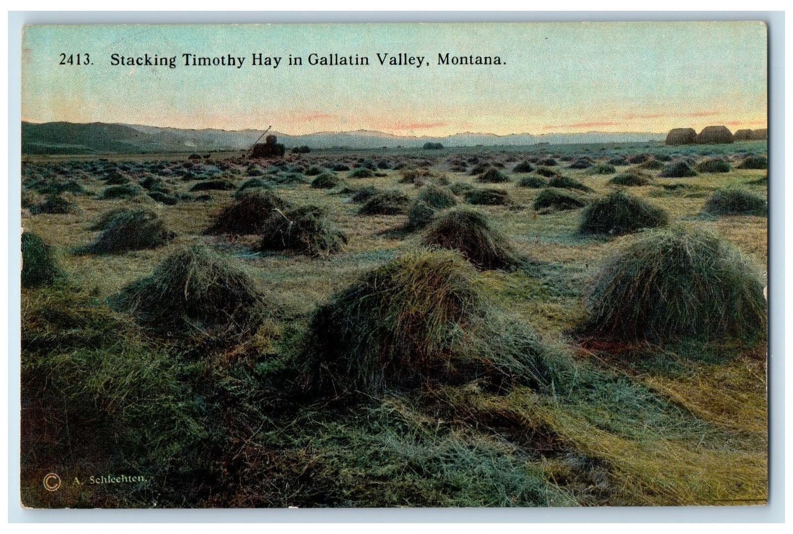 c1940s Stacking Timothy Hay View In Gallatin Valley Montana MT Unposted Postcard
