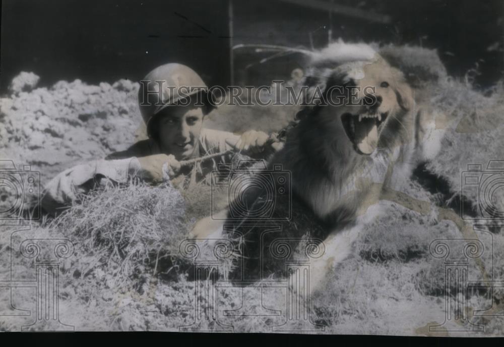 1944 Press Photo Animals Sentry Dog - spa24961