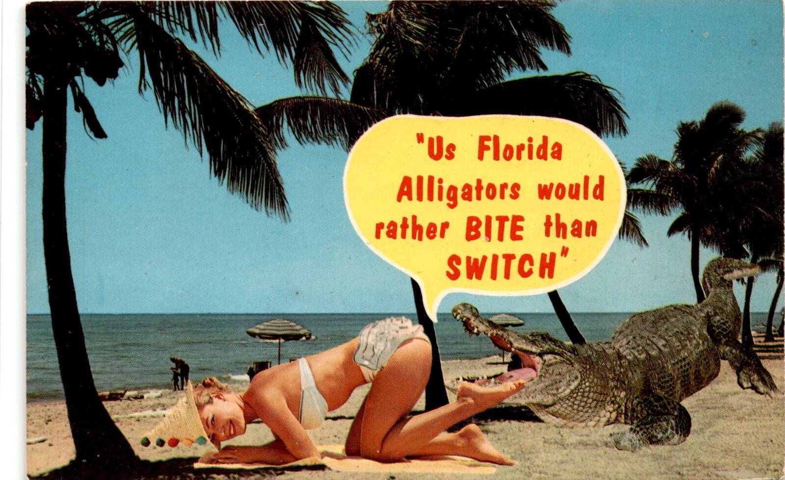 Florida Alligators  Dexter Press Inc Wildlife Caution Postcard
