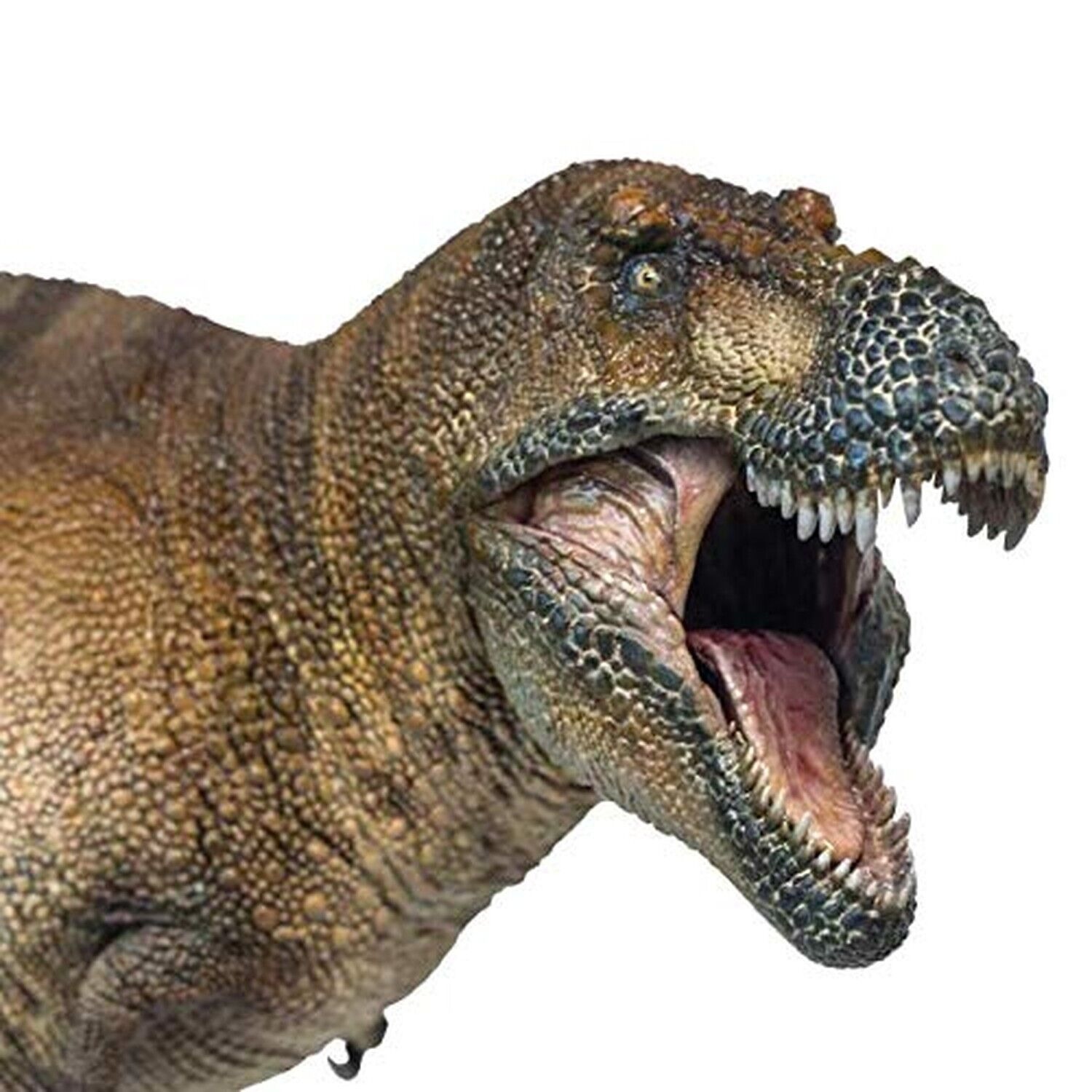 PNSO Dinosaur Museums Series (New Wilson the Tyrannosaurus Rex 1:35 Scientifi...