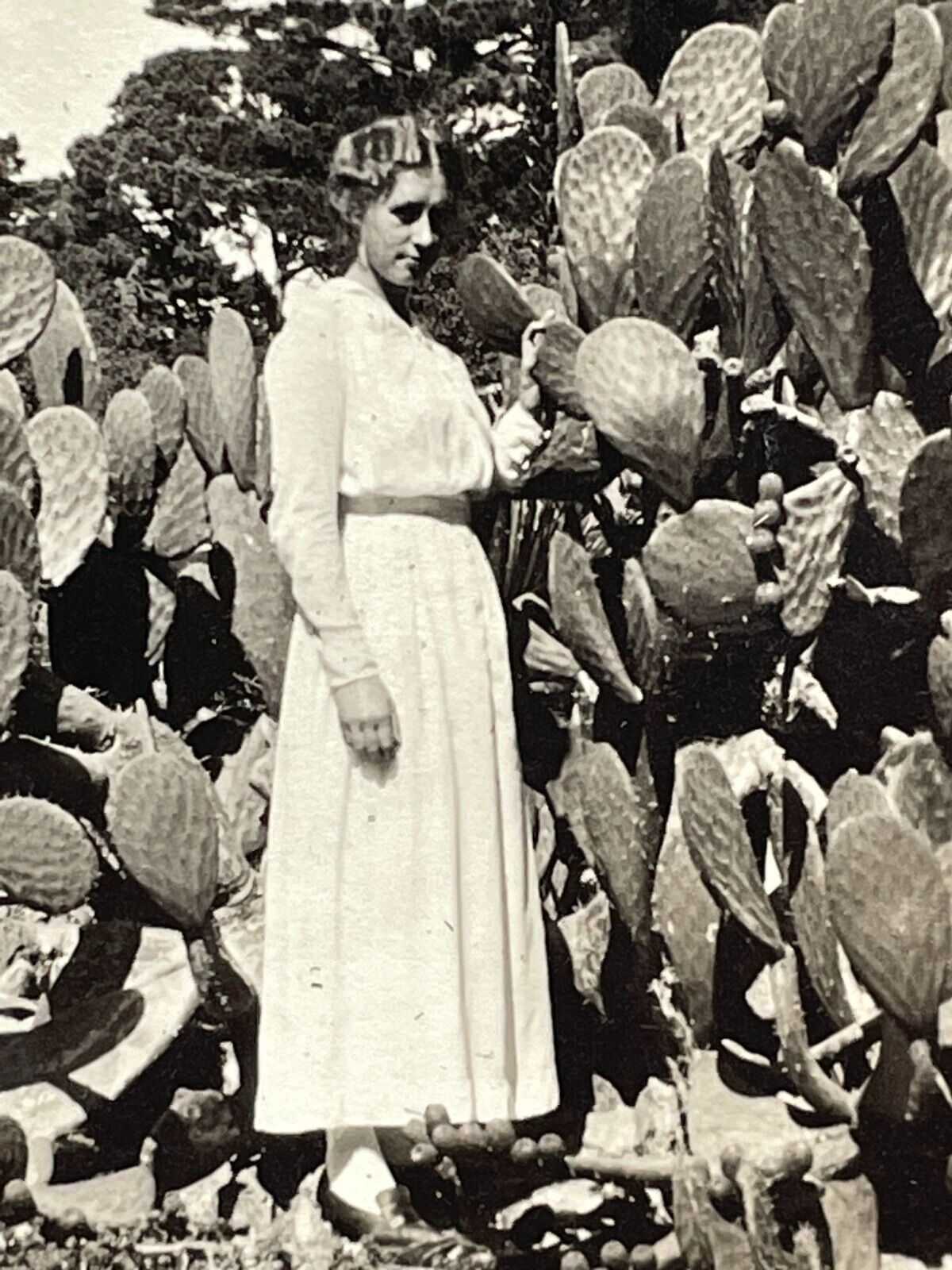 QF Photograph Beautiful Woman Pretty Lovely Lady Poses Cactus 1920-30's
