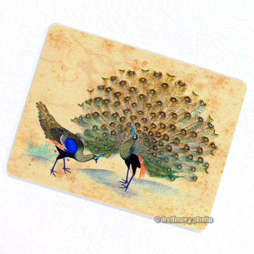 Peacock #5 FRIDGE MAGNET, Decorative Refrigerator Décor Bird Mini Gift