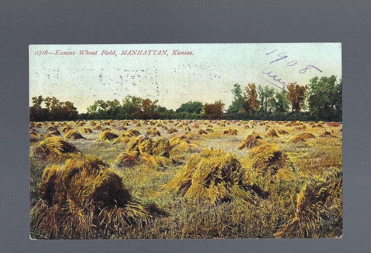 c.1908 Kansas Wheat Field Manhattan KS Farm Postcard POSTED