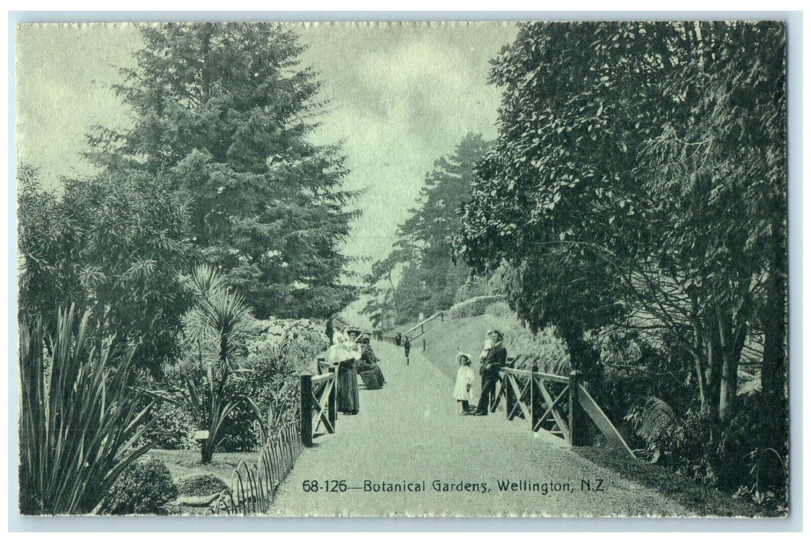 c1910 Small Bridge Botanical Gardens Wellington New Zealand Antique Postcard