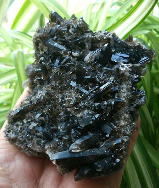 F3122 Natural Dark Smoky Cluster Mineral Specimen Quartz Crystal Point  310g