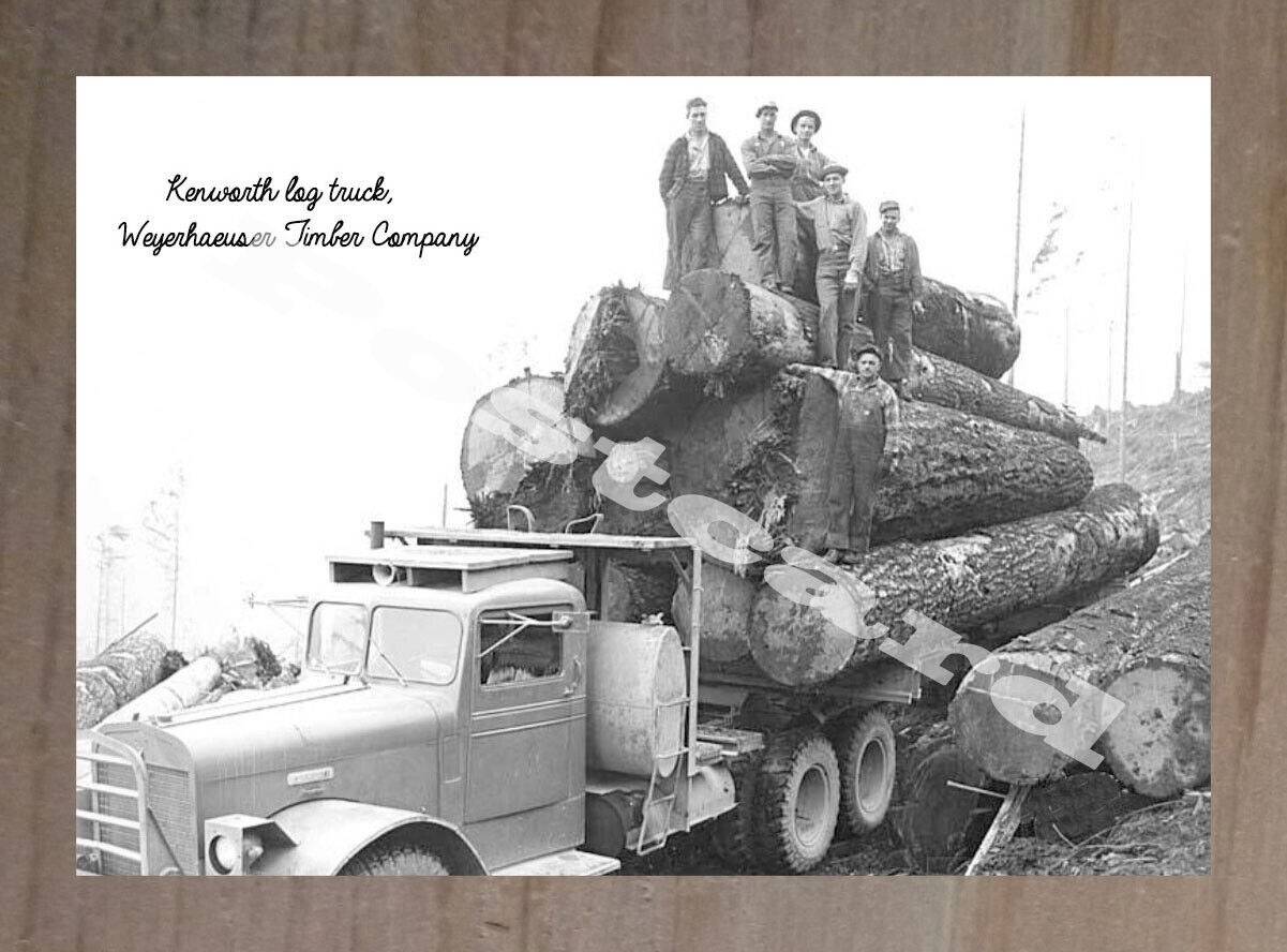 Historic Weyerhaeuser Timber Company Kenworth Truck Logging Postcard