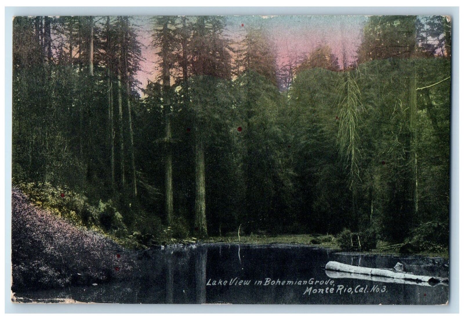 1913 Lake View Bohemian Grove Scene Monte Rio California CA Posted  Postcard