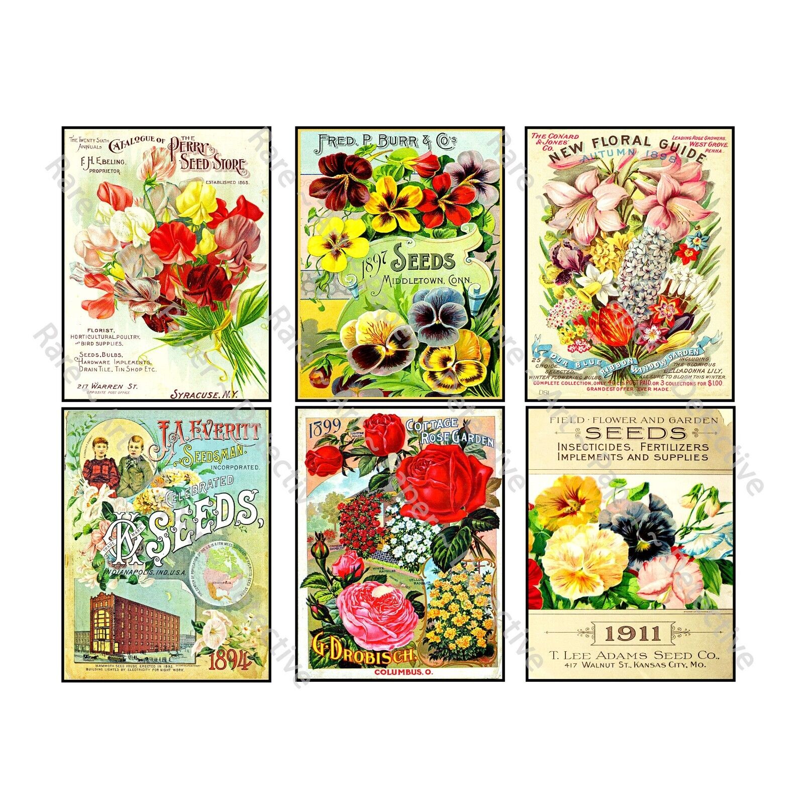 Seed Packet & Gardening Gifts, Garden Sticker Reproductions, Vintage Seed Art