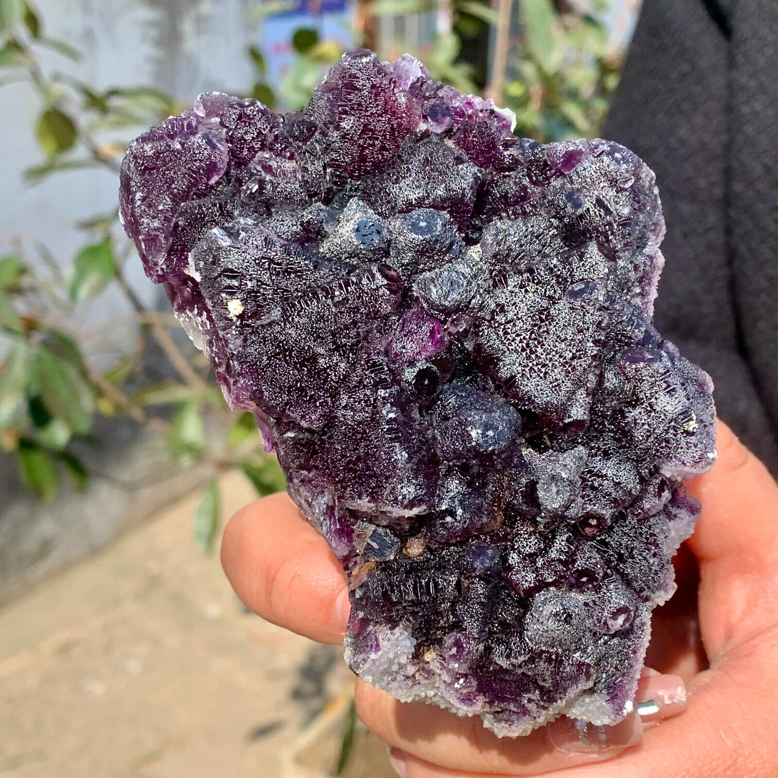 518G  Natural purple cubic Fluorite Crystal Cluster mineral sample
