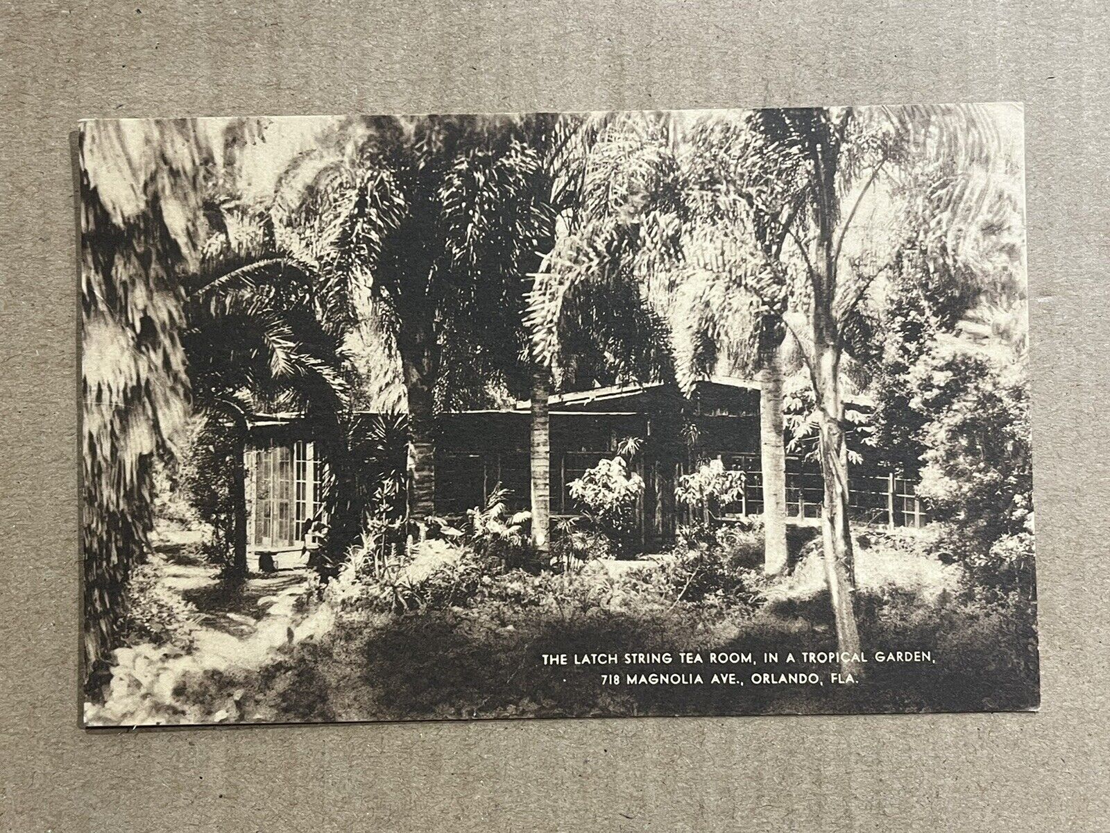 Postcard Orlando Florida Artvue Magnolia Ave Latch String Tea Room Garden