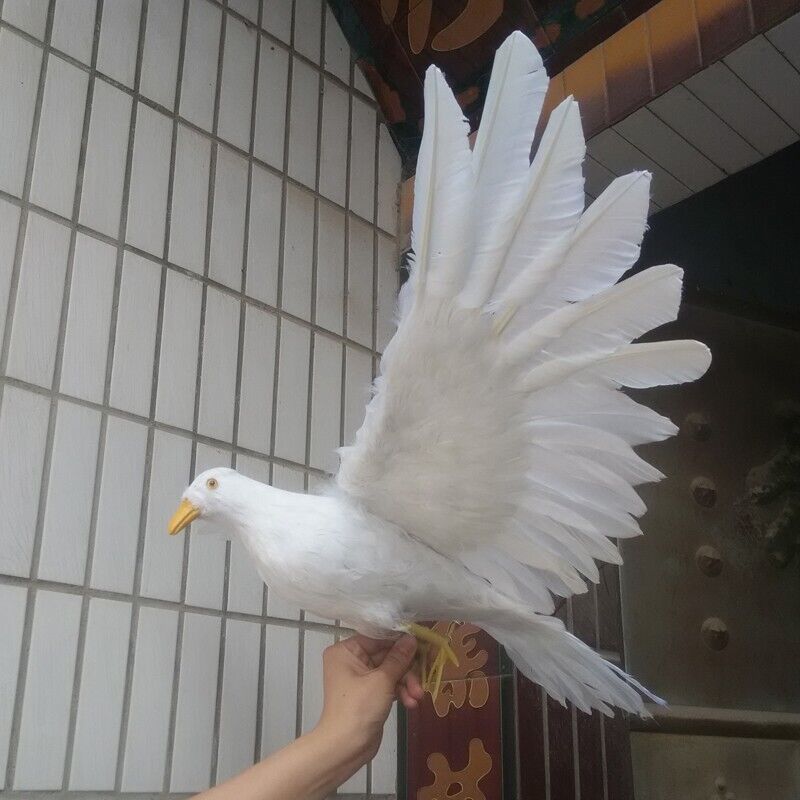 big foam&feather simulation wings pigeon dove bird model  gift about 42x80cm