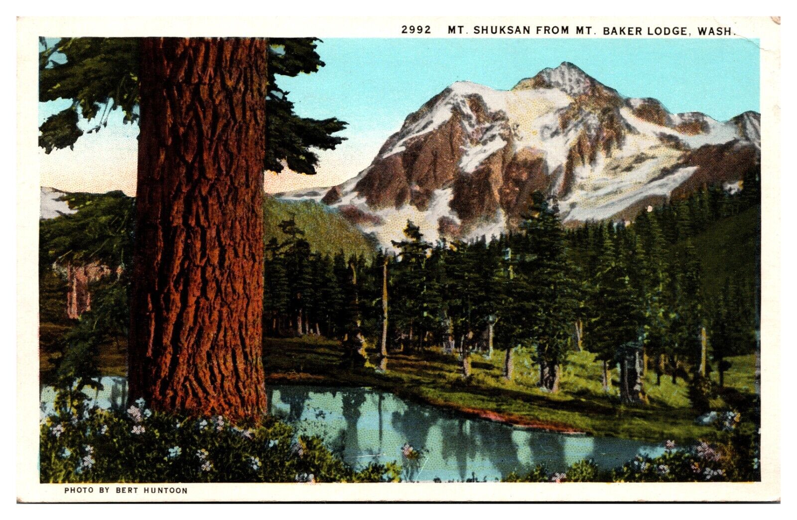 Mt Shuksan From Mt Baker Lodge Washington WA Bert Huntoon  Postcard