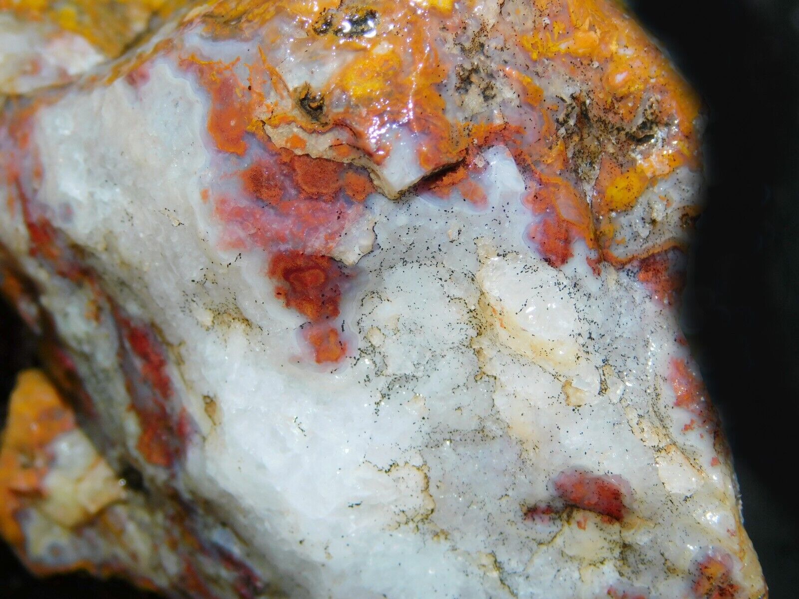 banded Tube Plume Agate lapidary cabbing rough chunk San Carlos Mexico 1 lb 3.5