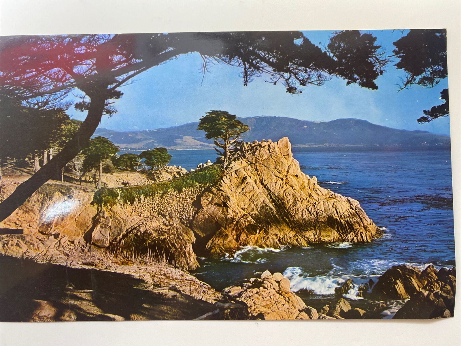 Caramel CA-California Midway Point Caramel Bay Monterey Cypress Vintage Postcard