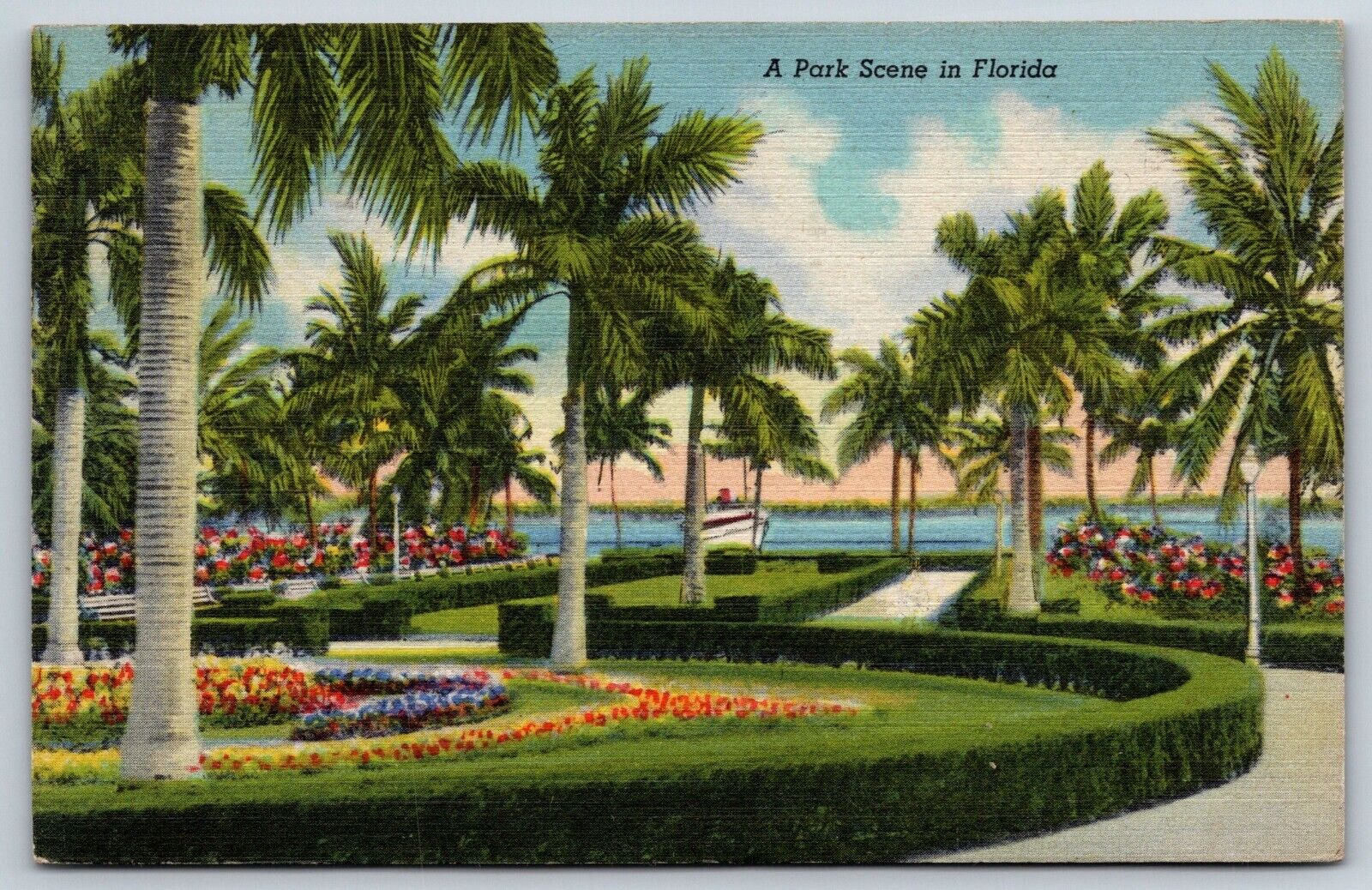 Park Scene in Florida Vintage Postcard