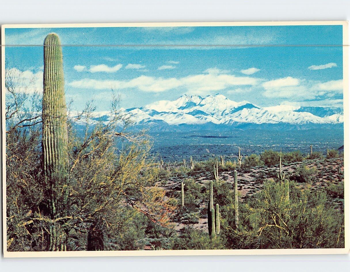 Postcard Snow Covered Four Peaks Arizona USA