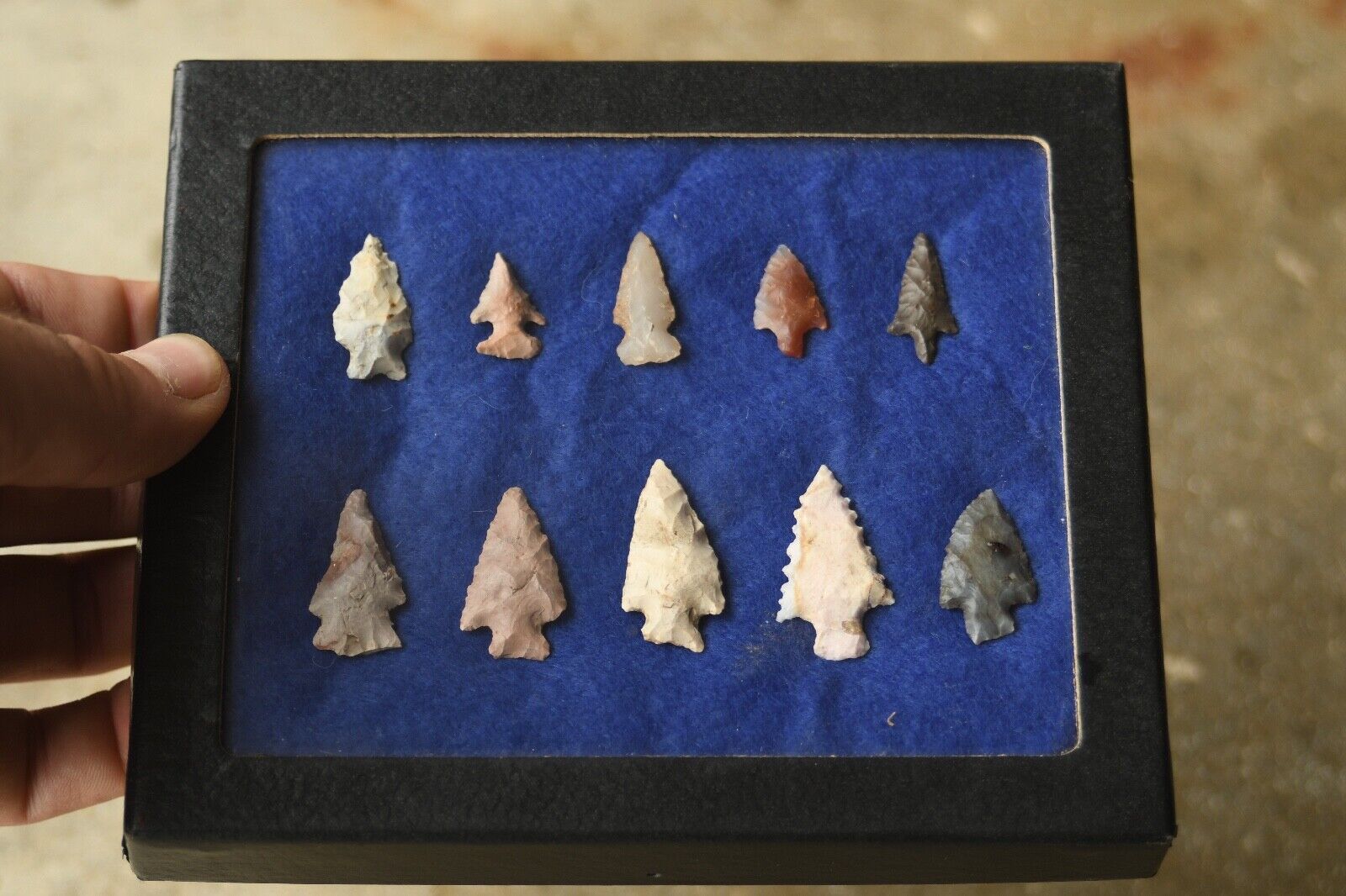 5x6 case of 10 Native American Bird points/ arrowheads from the midwest