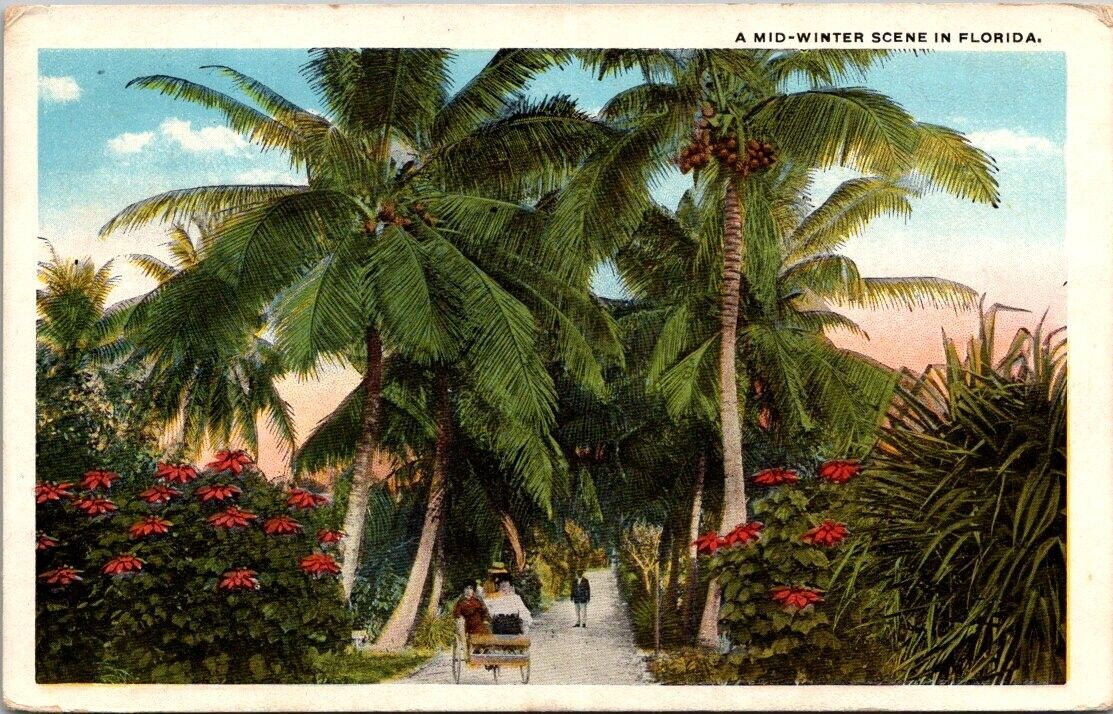 Postcard Florida Mid Winter Scene Palm Trees Coconuts Posted 1921 Winter Park FL