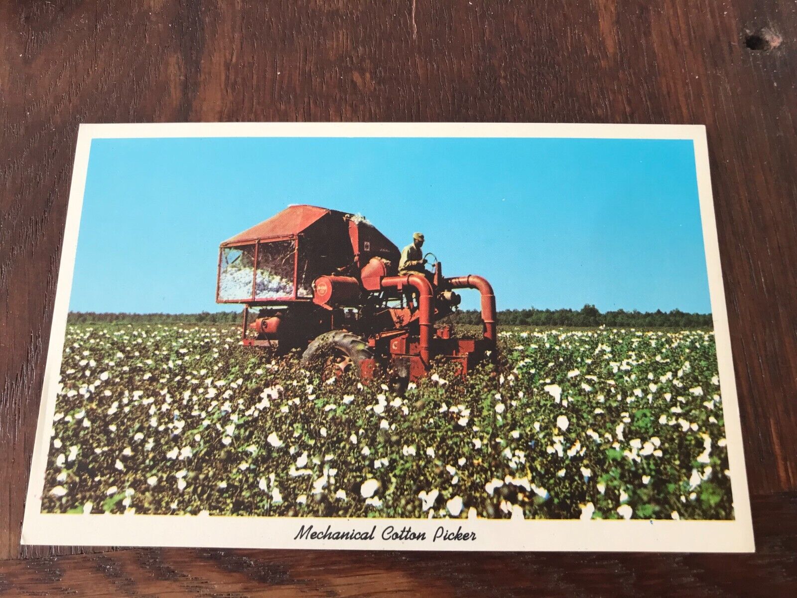Mechanical Cotton Picker Postcard Farming Theme