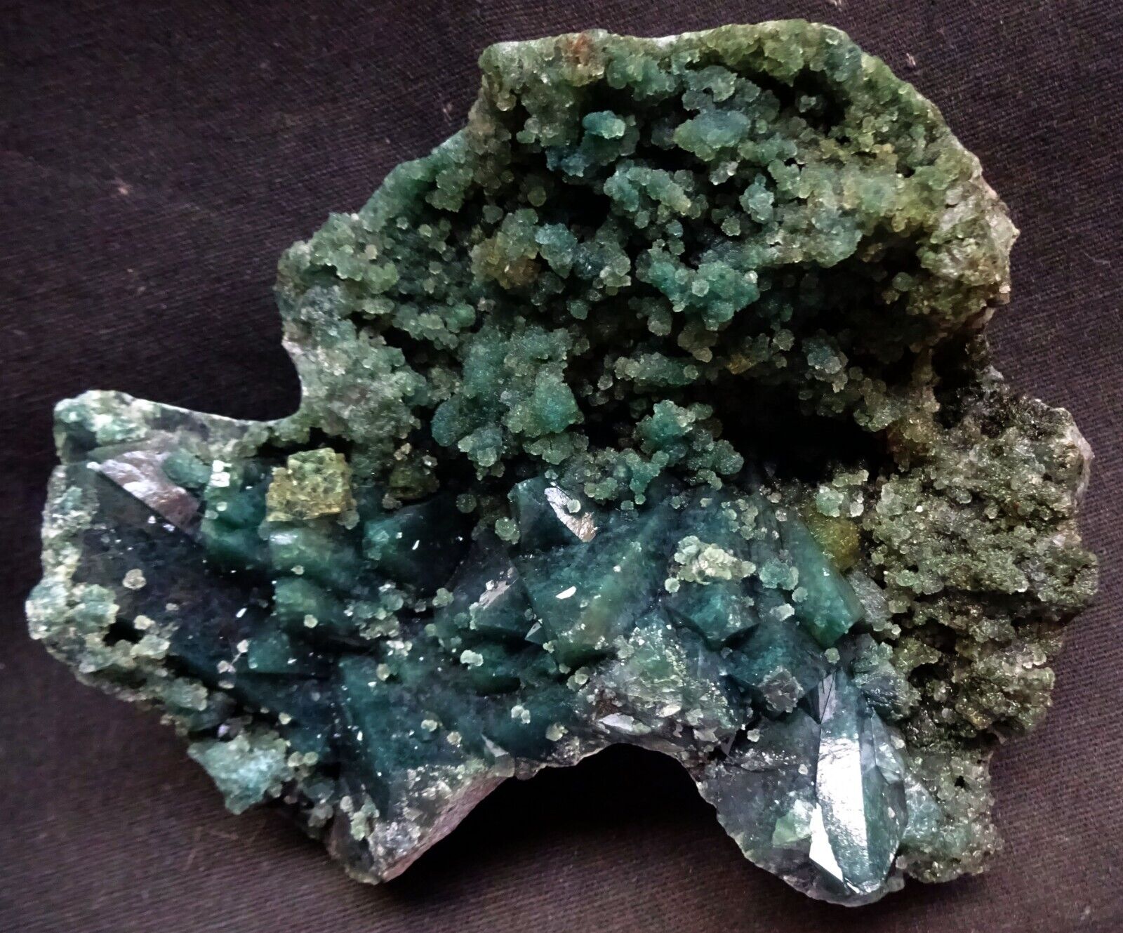 STUNNING MARSHY GREENBROWND APOPHYLLITE CRYSTALS ON GREEN CORAL CHALCEDONY BASE